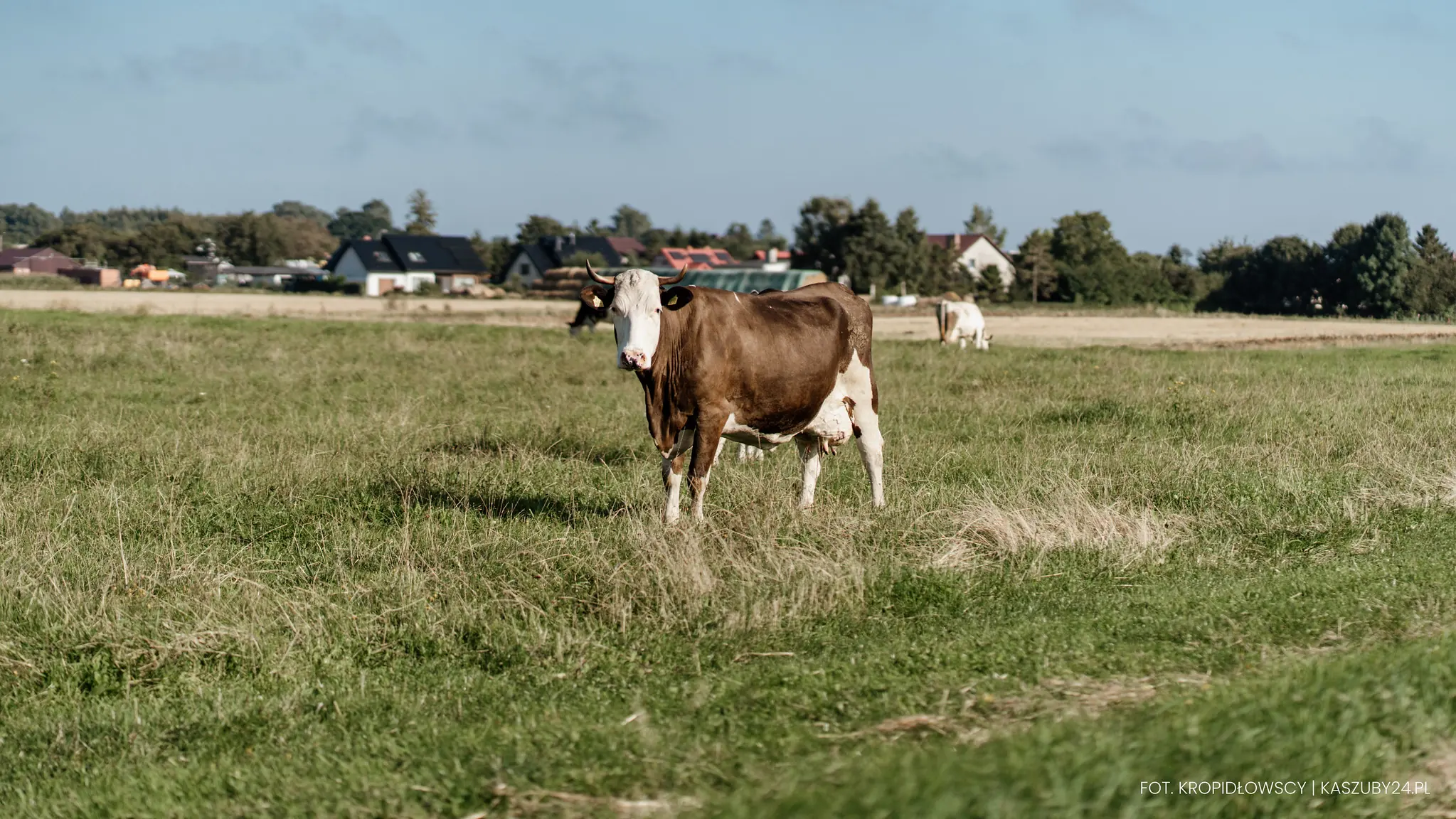 Fotografia i film Twoje Wspomnienia